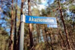 Radeland-Siedlung-Akazienallee