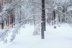 Radeland-Siedlung-im-Winter