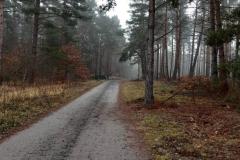 Radeland-Siedlung-Akazienallee-bei-Regen