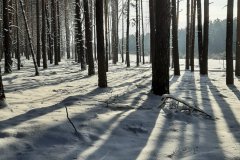 Radeland-Siedlung-Schnee