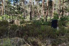 Waldfriedhof-Radeland-Siedlung